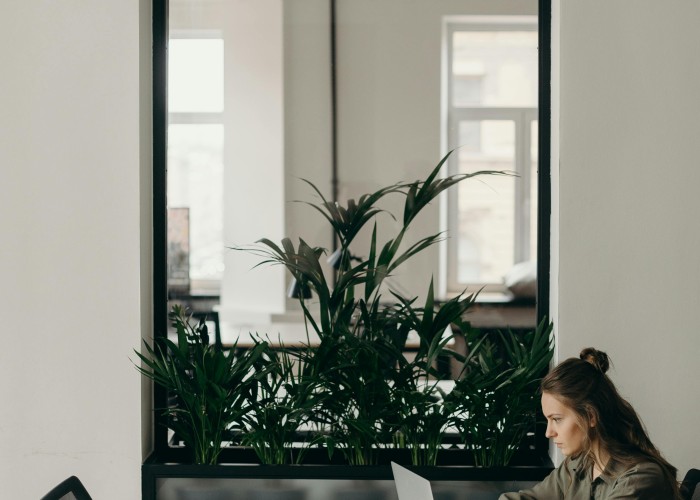 High Authority Backlinks – The Ultimate Strategy to Rank Globally and Build Real SEO Power