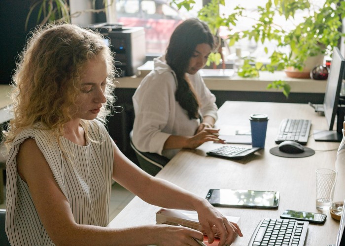 Top Notch Backlinks – The Ultimate Strategy to Dominate Global Search Rankings